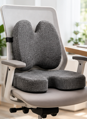 Movin Care Back & Tailbone Support Combo